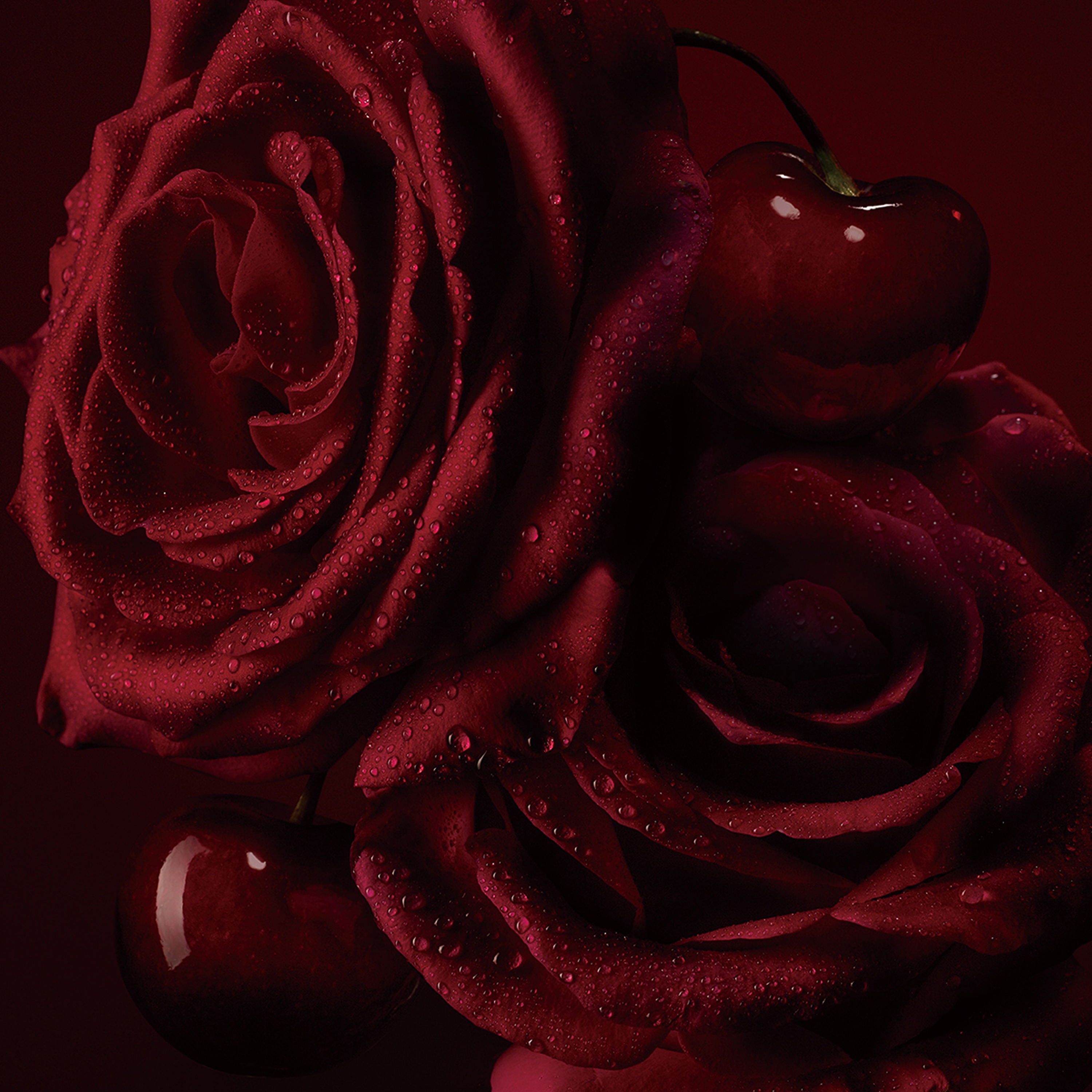 Fétiche La Rose Christian Louboutin Beauty Norway