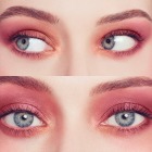 Abracadabra La Palette